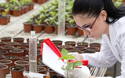 UB student performing science experiments